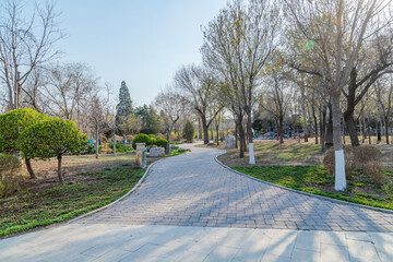 Outdoor park road natural landscape