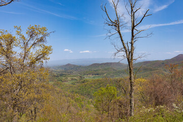 Obraz premium landscape views