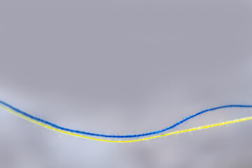 Yellow and blue threads as a symbol of the struggle of the Ukrainian people against russian...