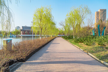 Outdoor park road natural landscape