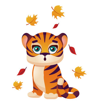 Cute tiger cub looks at autumn leaves