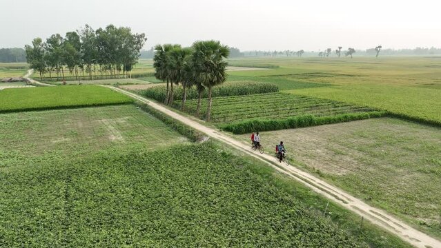 A lonely tree stands tall beside a curvy road, its branches reaching out to the sky. People cross the road on bicycles, motorcycles, and three wheelers, heading towards the village on the other side.