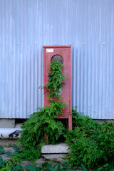 緑化した消火器