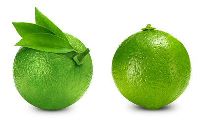 Lime collection. Fresh organic lime isolated on white background. Lime macro. With clipping path