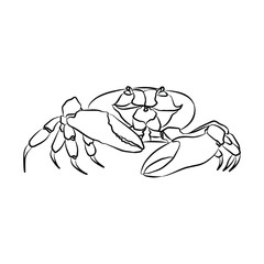 Illustration : Crab Painting