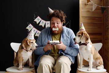 Overweight bearded man sitting on chair and eating cookies with his dogs during birthday party