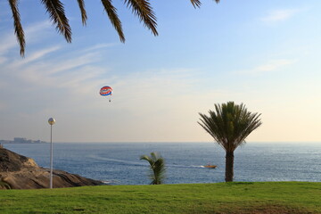 Skydiving skydiver and passenger tandem parachute approach on tropical palm trees beach ocean coastline