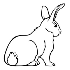 Vector illustration of hand drawn rabbit. Black and white bunny.