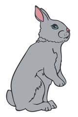 Vector illustration of bunny colored and depicted by a line. Hand drawn rabbit standing on hind legs.