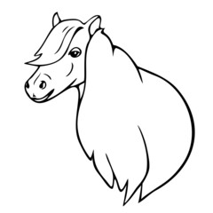 Vector illustration with portrait of horse. Black and white horse.