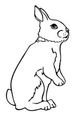 Vector illustration of black and white rabbit. Hand drawn bunny standing on hind legs.