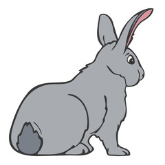 Vector illustration of bunny. Hand drawn rabbit colored and depicted by a line.