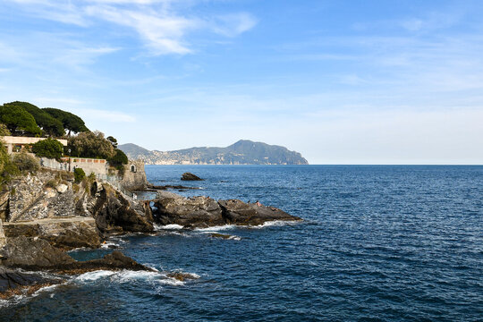 Seascape from the Anita Garibaldi Promenade, popular tourist destination, with the promontory of Portofino on the sea horizon, Genoa, Liguria, Italy