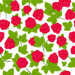 Seamless pattern with raspberry berries, leaves. Color vector