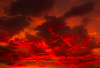 Red clouds in the sky, summer sunset