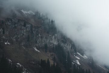 Leisurely hike through a foggy landscape