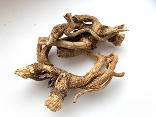Dried angelica root is a medicinal plant.