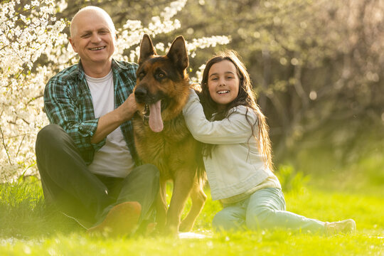 Grandfather and granddaughter with dog shepherd in the garden
