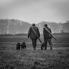 Two hunters with dogs walk to their pegs on a driven shoot in black and white.