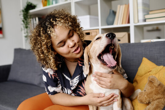 African young girl with curly hair embracing and talking to her yawned dog while they sitting on sofa in living room