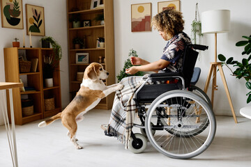African woman with disability sitting in wheelchair and playing with her dog in living room
