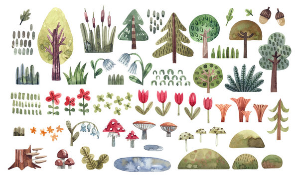 Natural elements, collection of hand drawn watercolor illustrations of forest plants in cartoon style. Trees, flowers, mushrooms, grass - elements isolated on white background.