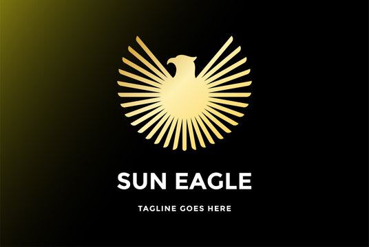 Circle Circular Golden Spread Wing Eagle Hawk Falcon Sun Logo Design Vector