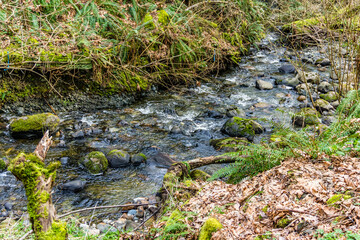 Rocky Des Moines Creek 8