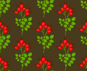 Seamless pattern of rose hip in warm colors. can be used as a wallpaper or for a textile design