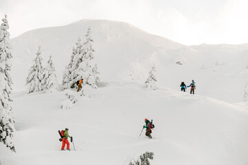 Tourists with splitboards walks on snow, extreme ascent and ski touring.