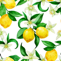seamless watercolor pattern with lemons. yellow lemons, flowers and leaves on a white background. vintage print