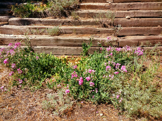 garden flowers railroad ties wood fence wooden boards retaining wall landscaping