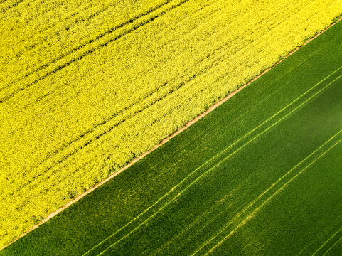 Aerial image of agricultural field with different crop growth after polyculture or permaculture farming method