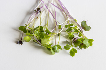 Microgreens on white table
