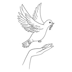 Peace dove with olive branch in the beak flying and hands down.