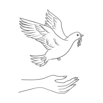 Peace dove with olive branch in the beak flying and hands down.