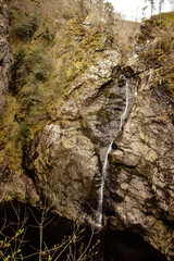 mossy waterfall in the woods 