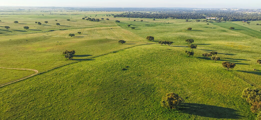 Balloon ride over green fields in Portugal