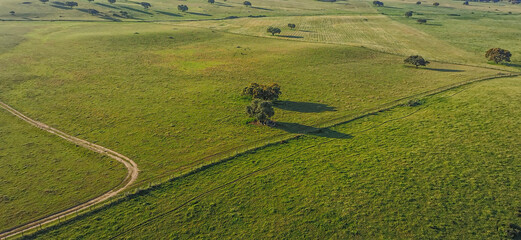 Balloon ride over green fields in Portugal