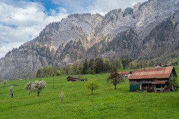 Fototapeta na wymiar Schweiz bei Oberiberg in der Nähe von Roggenstock bei Schwyz