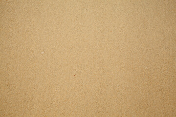 Fototapeta na wymiar Texture of the sea beach sand.