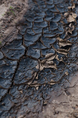 Texture of dry cracked earth 