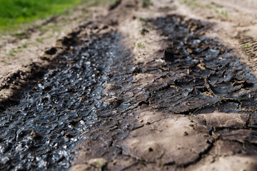 Texture of dry cracked earth 