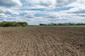 Fototapeta na wymiar View of a spring plowed field, a blooming tree, and a beautiful sky with clouds