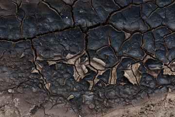 Texture of dry cracked earth 