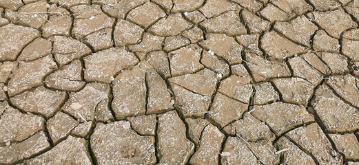 Dry riverbed, with arid and cracked soil because of drought, due to climate change