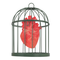 Human heart caged in white cage. Forbidden loving creative concept idea. Love restriction symbolic...