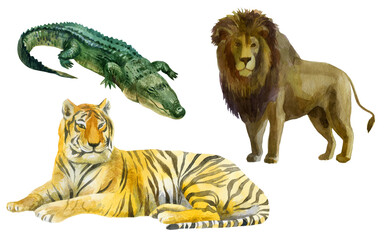 Watercolor illustration, tiger, lion and crocodile. Wild animals painted in watercolor.