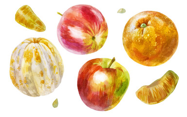 Watercolor illustration set. Red apples. Orange peeled, peeled orange.
