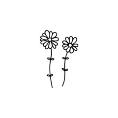 Two hand drawn daisys. Vector illustration in doodle style. Isolate on a white background.